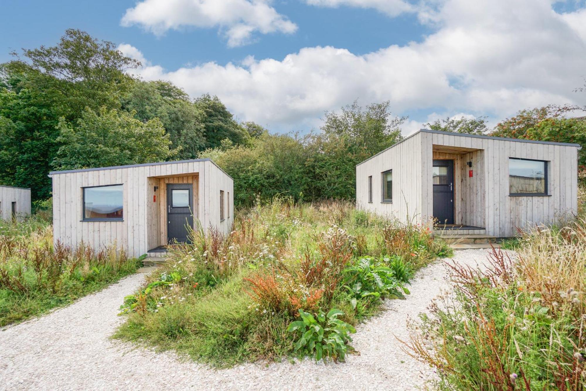 Rustic Cabins, Sea Views From Rewilded Farm With Highland Cows St Andrews Exterior foto